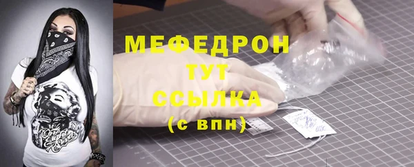 индика Вязьма