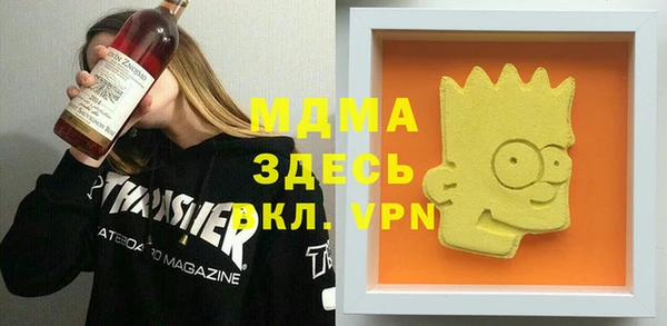 индика Вязьма