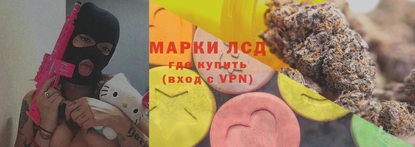 индика Вязьма