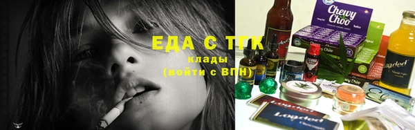 индика Вязьма