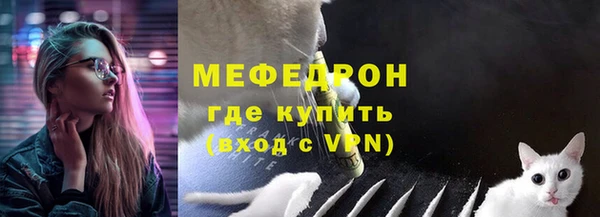 индика Вязьма