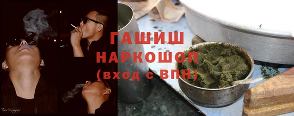 индика Вязьма