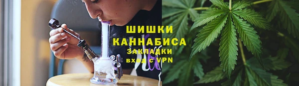 индика Вязьма