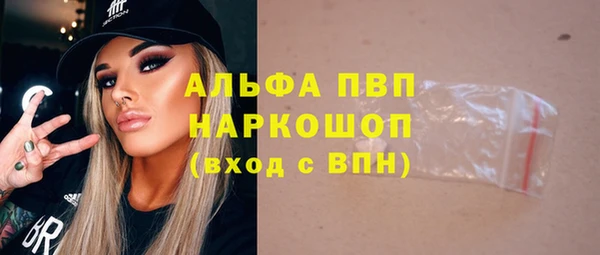 индика Вязьма