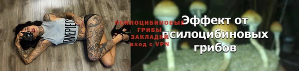 индика Вязьма