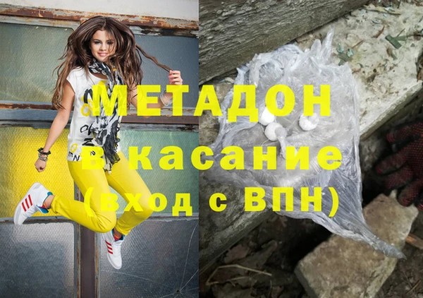 индика Вязьма
