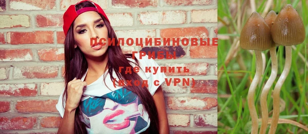 mix Вяземский
