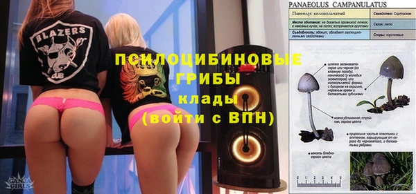 индика Вязьма