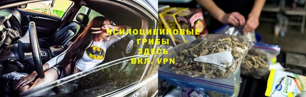 индика Вязьма