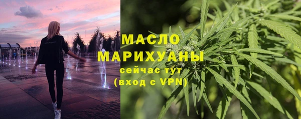 индика Вязьма